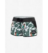 Picture Hawai bordshorts birds