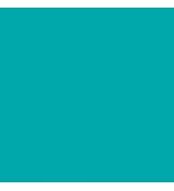 Aloha Sun Stick TEAL